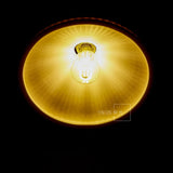 Ceramic Pendant Lights Fixtures