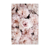 Posters Flowers Pink
