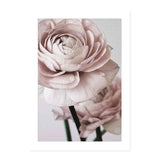 Posters Flowers Pink