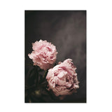Posters Flowers Pink