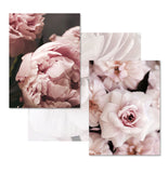 Posters Flowers Pink
