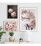 Posters Flowers Pink