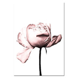 Coco Chanel & Peony Poster