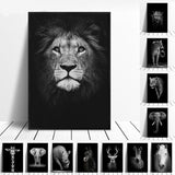 Safari Animals Posters