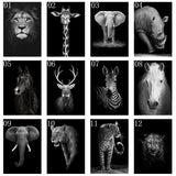 Safari Animals Posters