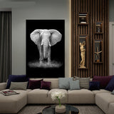 Safari Animals Posters