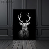 Safari Animals Posters
