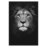 Safari Animals Posters