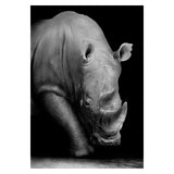 Safari Animals Posters