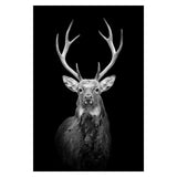 Safari Animals Posters