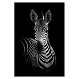 Safari Animals Posters