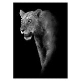 Safari Animals Posters