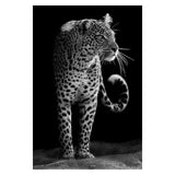 Safari Animals Posters
