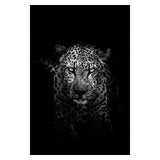Safari Animals Posters
