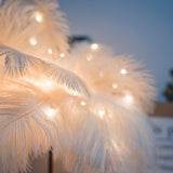 Feather Table Lamp