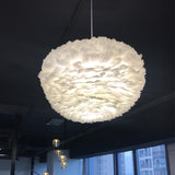 Feather Pendant Lights