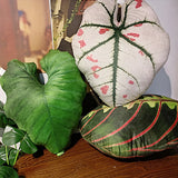 Tropical Plants Pillow