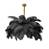 Ostrich Feather Chandelier