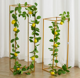 Lemon garland