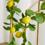 Lemon garland