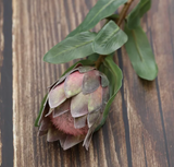 Magnolia flower