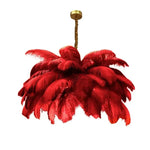 Ostrich Feather Chandelier