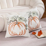 2pcs Halloween Pumpkin Embroidered Pillow Covers