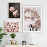 Posters Flowers Pink