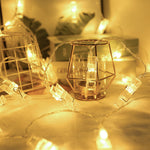 LED Fairy String Lights with Clear Clips