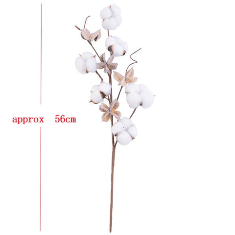 Natural Dried Cotton Flowers