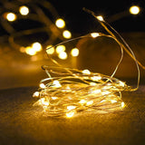 Holiday Fairy String Lights